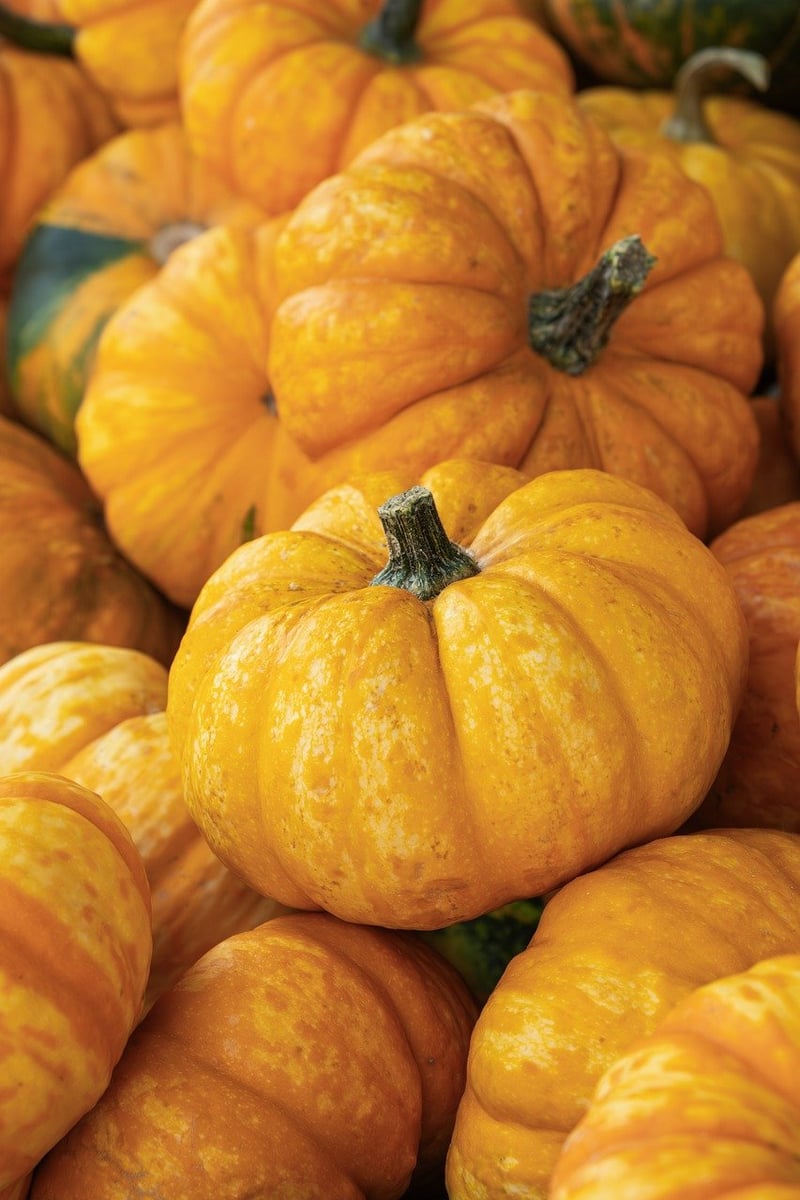 Vegetables and fruits